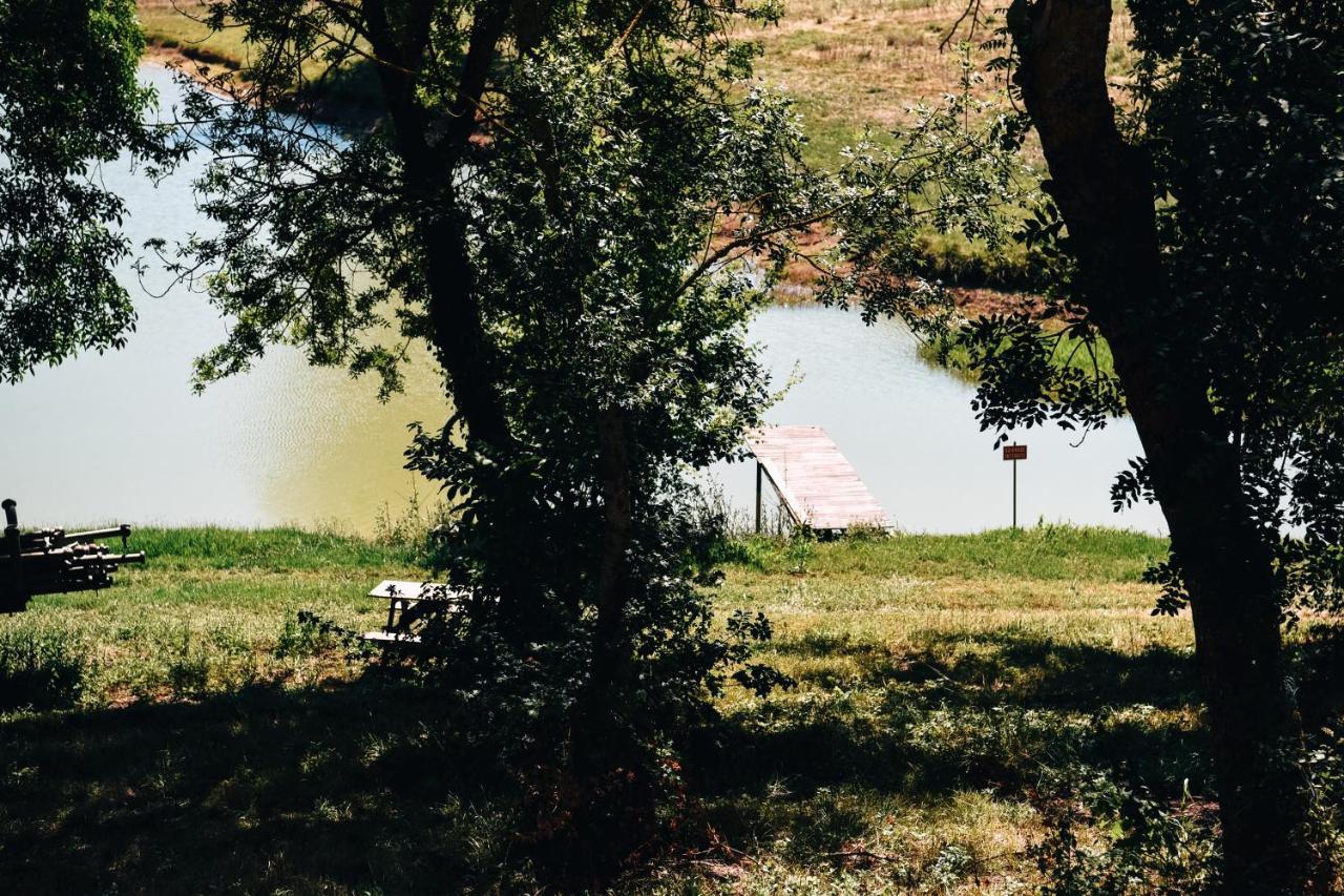 Maison De Campagne, Bord De Lac, Piscine, Billard 11 Per Plieux ภายนอก รูปภาพ
